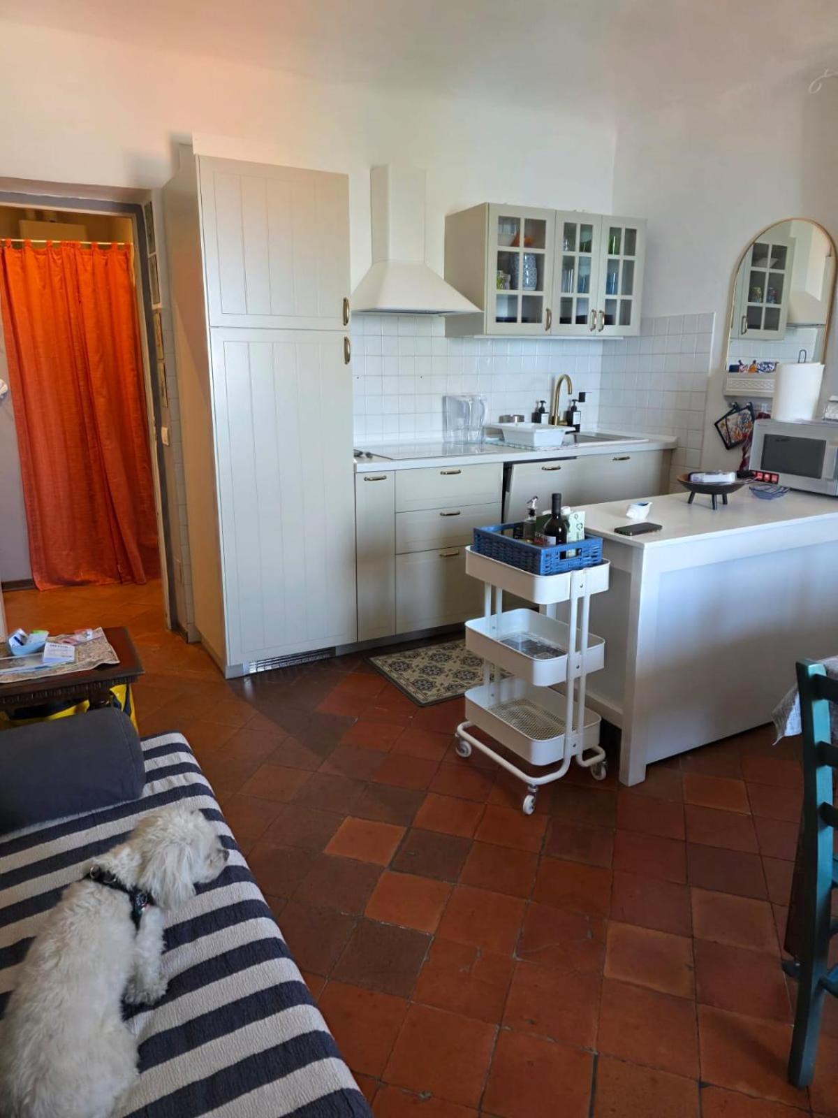 Appartement The Shell - New Interior Look But Same Old Charme 200Mt From The Sea With Garden And Parking Nearby à Imperia Extérieur photo